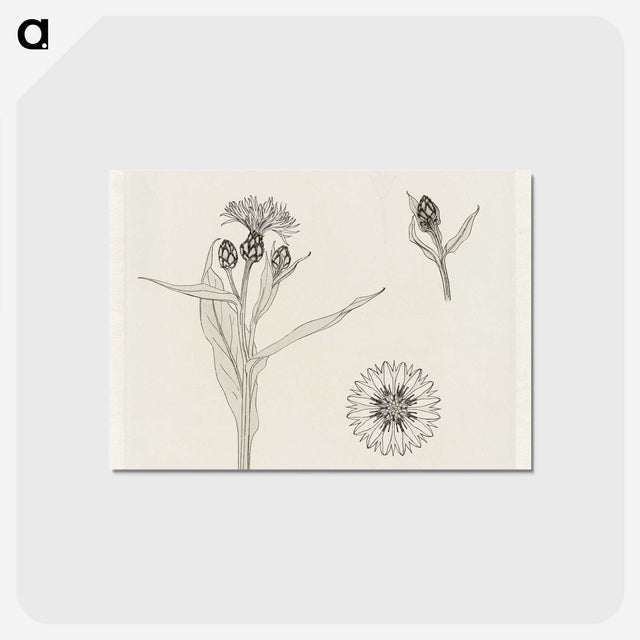 2-24_Julie-de-Graag_postcard