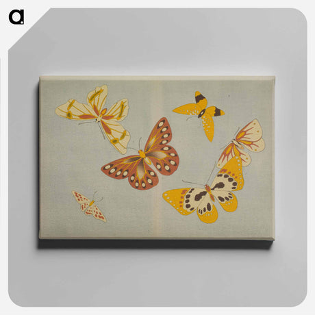 アートパネル-Chō senshu (A Thousand Kinds of Butterflies), Volume 1 - 神坂 雪佳 Canvas.