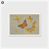 アートポストカード-Chō senshu (A Thousand Kinds of Butterflies), Volume 1 - 神坂 雪佳 Postcard.