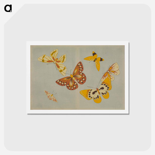 アートポストカード-Chō senshu (A Thousand Kinds of Butterflies), Volume 1 - 神坂 雪佳 Postcard.