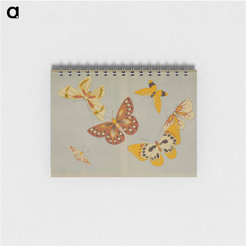 Chō senshu (A Thousand Kinds of Butterflies), Volume 1 - 神坂 雪佳 Memo.