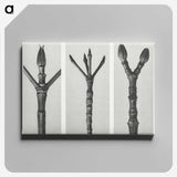 2-24_Karl-Blossfeldt_canvas