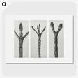2-24_Karl-Blossfeldt_picture