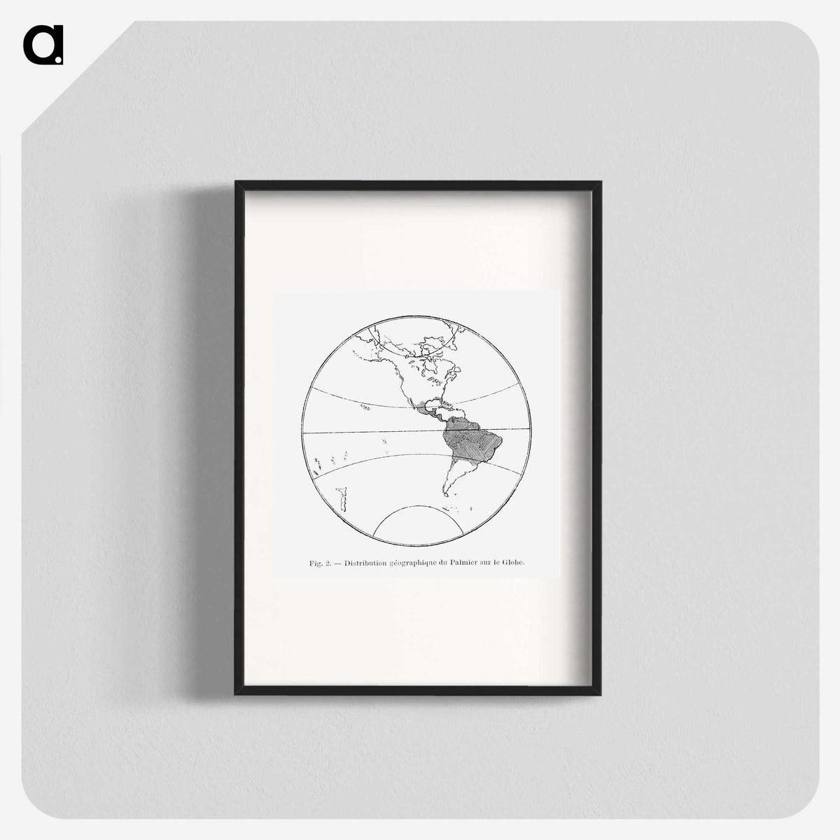 2-24_Les-Palmiers-Histoire-Iconographique_blk