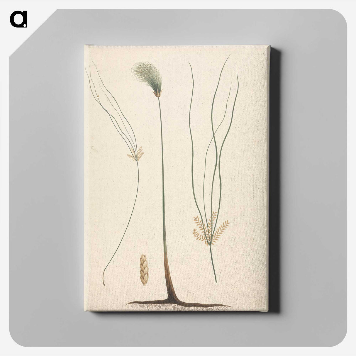 2-24_Luigi-Balugani_canvas