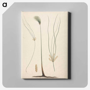 2-24_Luigi-Balugani_canvas