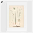 2-24_Luigi-Balugani_picture