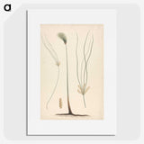 2-24_Luigi-Balugani_picture