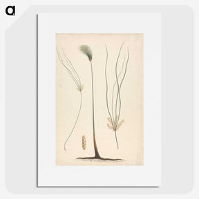 2-24_Luigi-Balugani_picture