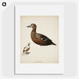 2-24_Magnus-von-Wright_picture