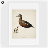 2-24_Magnus-von-Wright_picture