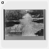 2-24_Marion-Post-Wolcott_picture-crop