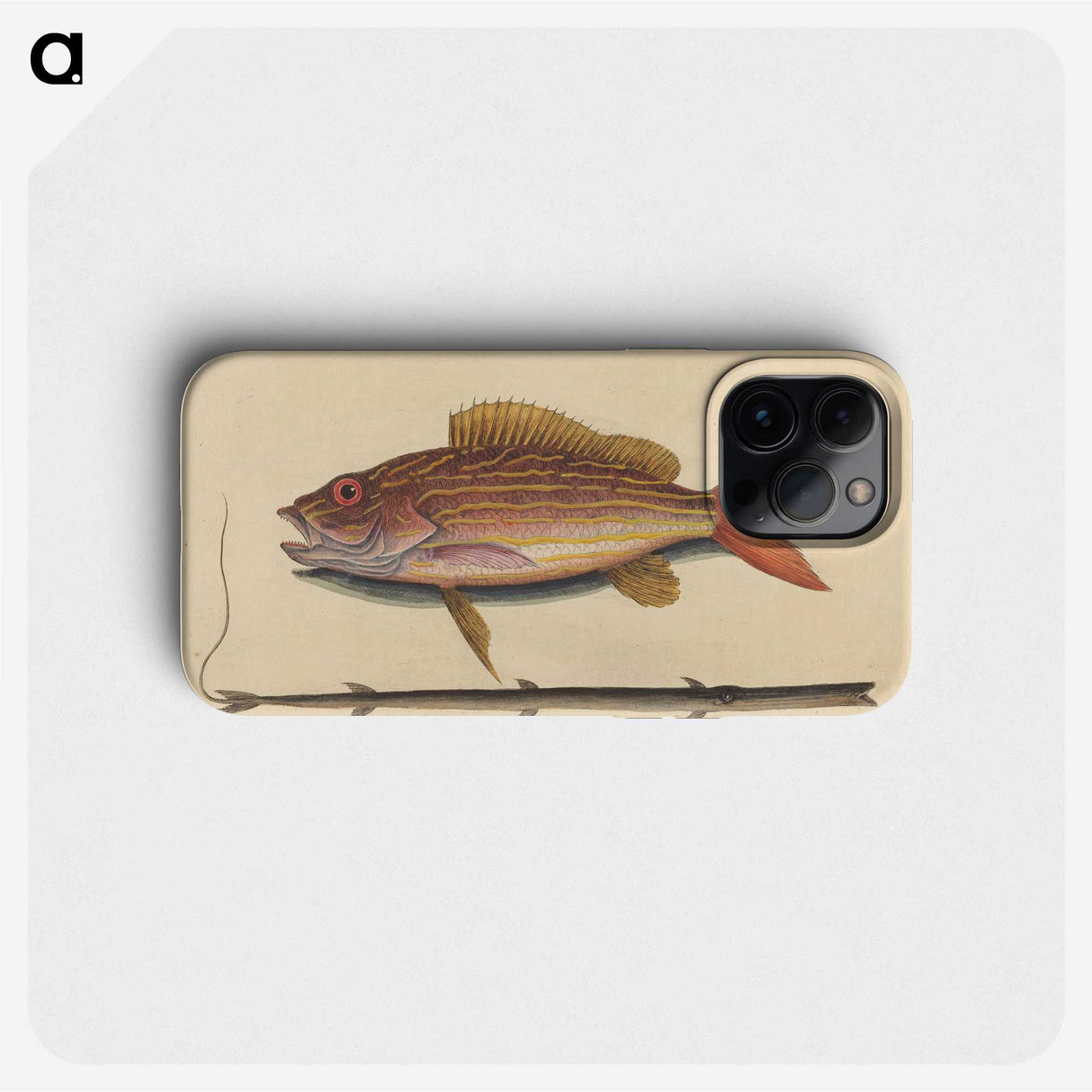 2-24_Mark-Catesby_phone