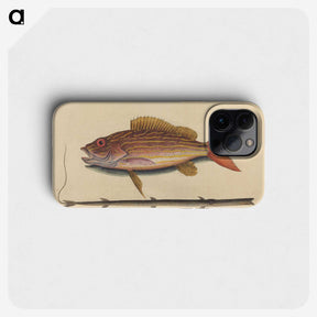 2-24_Mark-Catesby_phone