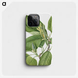 2-24_Mary-Vaux-Walcott_phone