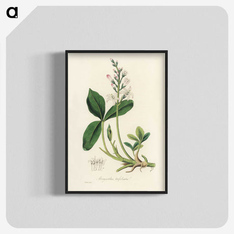2-24_Medical-Botany_blk-crop