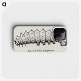 2-24_Moths-and-Butterflies-of-the-United-States_phone