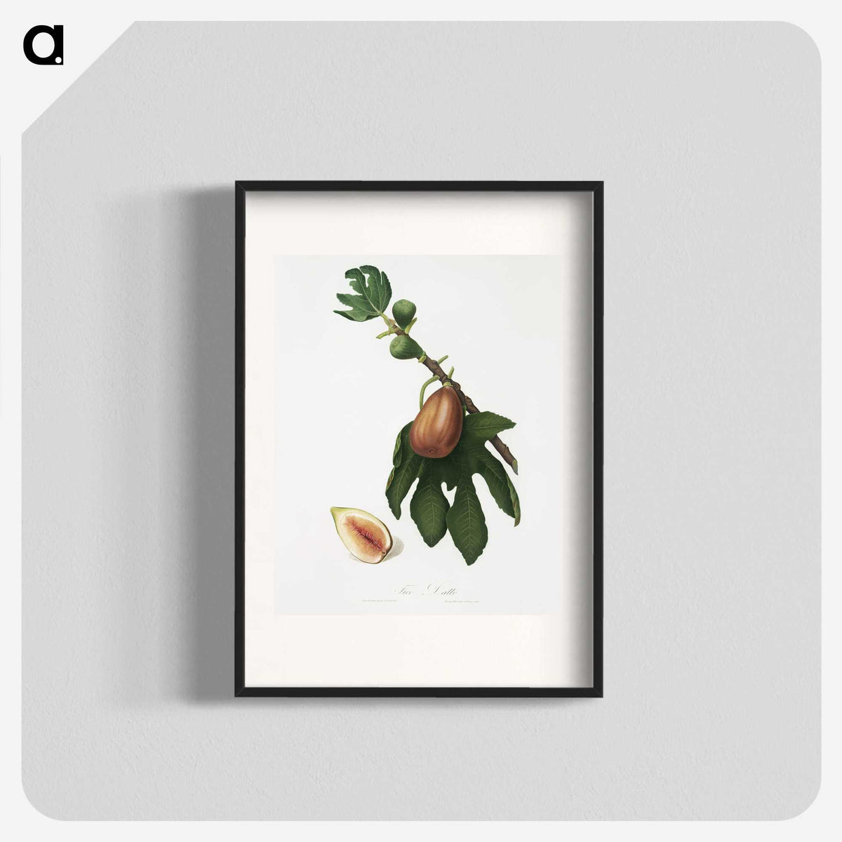 2-24_Pomona-Italiana_blk