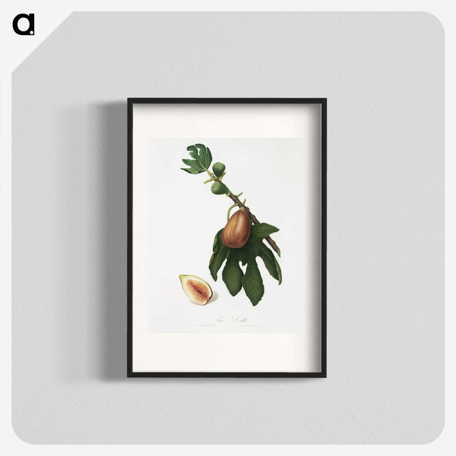 2-24_Pomona-Italiana_blk