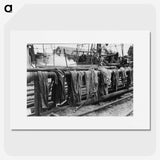 2-24_Russell-Lee_picture