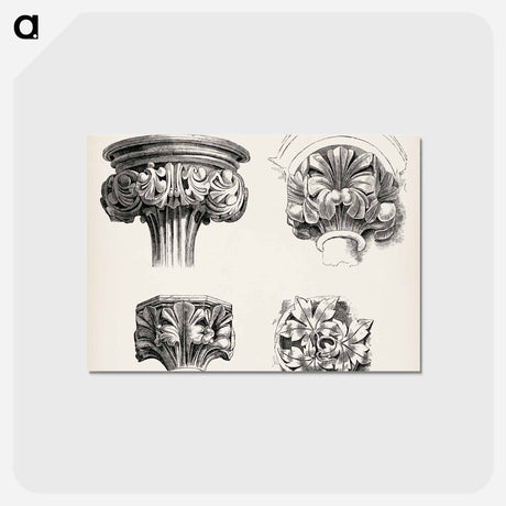 アートポストカード-Column Capital Detail, after Owen Jones
 - 装飾の文法 Postcard.