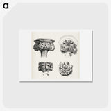 2-24_The-Grammar-of-Ornament_hagaki