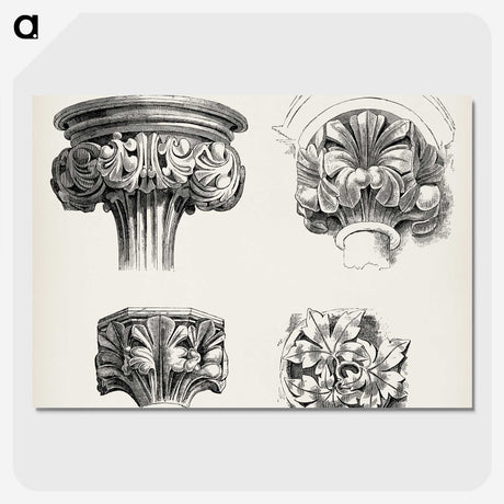 2-24_The-Grammar-of-Ornament_picture-crop