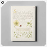 アートパネル-Black Cumins and Insect from Mira Calligraphiae Monumenta
 - 書道のお手本 Canvas.