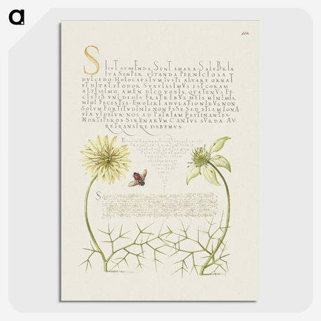 2-24_The-Model-Book-of-Calligraphy_picture-crop
