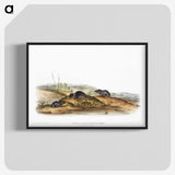 2-24_The-Viviparous-Quadrupeds_blk-crop