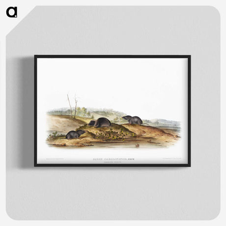 2-24_The-Viviparous-Quadrupeds_blk-crop