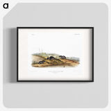 2-24_The-Viviparous-Quadrupeds_blk