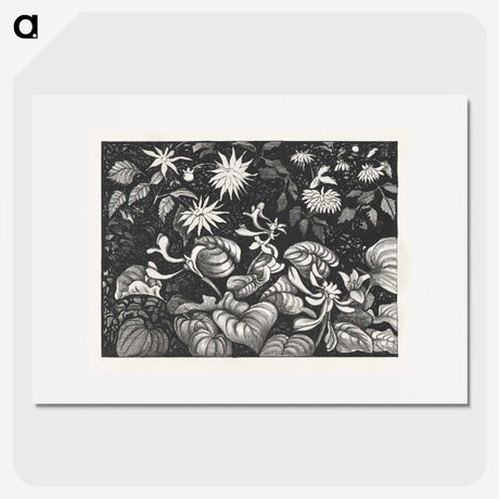 2-24_Theo-van-Hoytema_picture