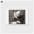 アートポストカード-Amelia Van Buren with Cat - トーマス エイキンズ Postcard.