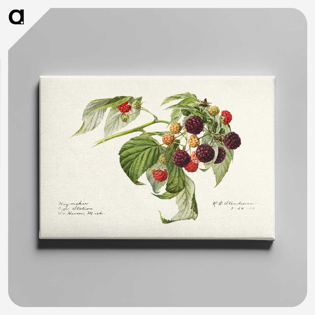 2-24_USDA-Watercolor-Fruit-Painting-Collection_canvas