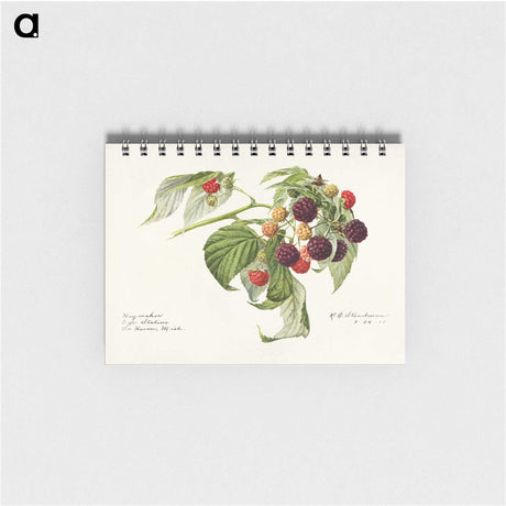 2-24_USDA-Watercolor-Fruit-Painting-Collection_memo