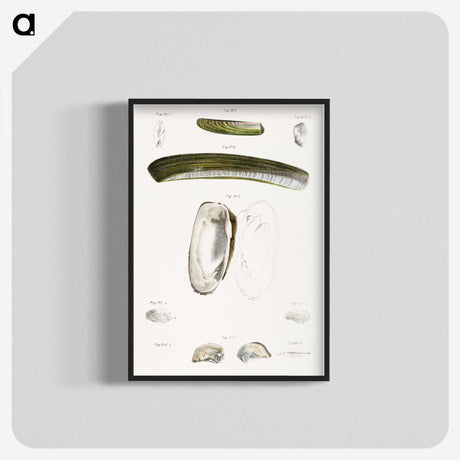 2-24_Zoology-of-New-York_blk-crop