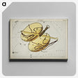 2-25_Antique-Maps_canvas