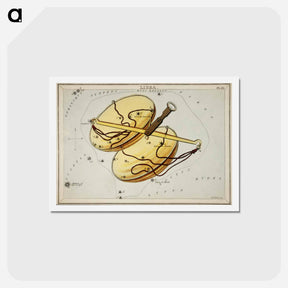 アートポストカード-Sidney Hall’s astronomical chart illustration of the Libra - アンティーク地図 Postcard.