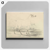 2-25_Charles-Hamilton-Smith_canvas