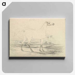2-25_Charles-Hamilton-Smith_canvas