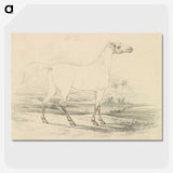2-25_Charles-Hamilton-Smith_picture-crop