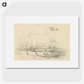 2-25_Charles-Hamilton-Smith_picture