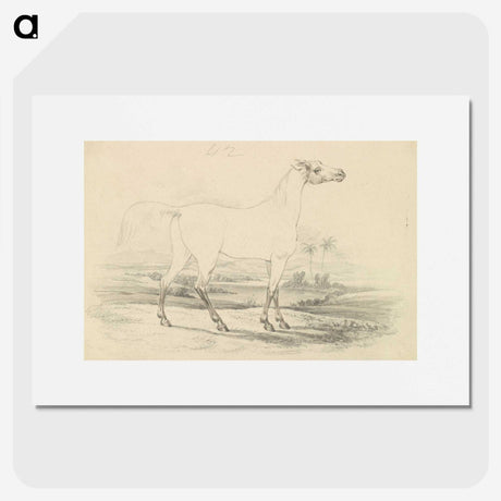 2-25_Charles-Hamilton-Smith_picture