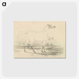 2-25_Charles-Hamilton-Smith_postcard