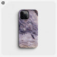 2-25_Claude-Monet_phone