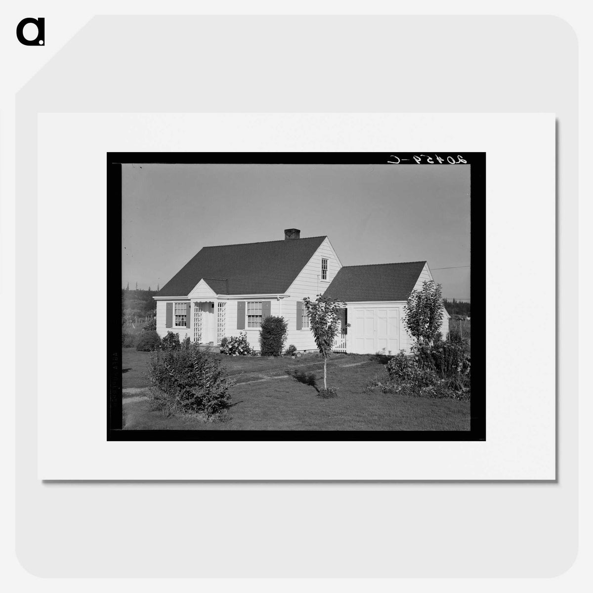 2-25_Dorothea-Lange_picture