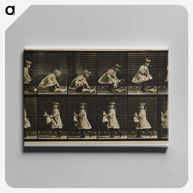 2-25_Eadweard-Muybridge_canvas