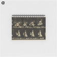 2-25_Eadweard-Muybridge_memo