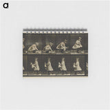 2-25_Eadweard-Muybridge_memo